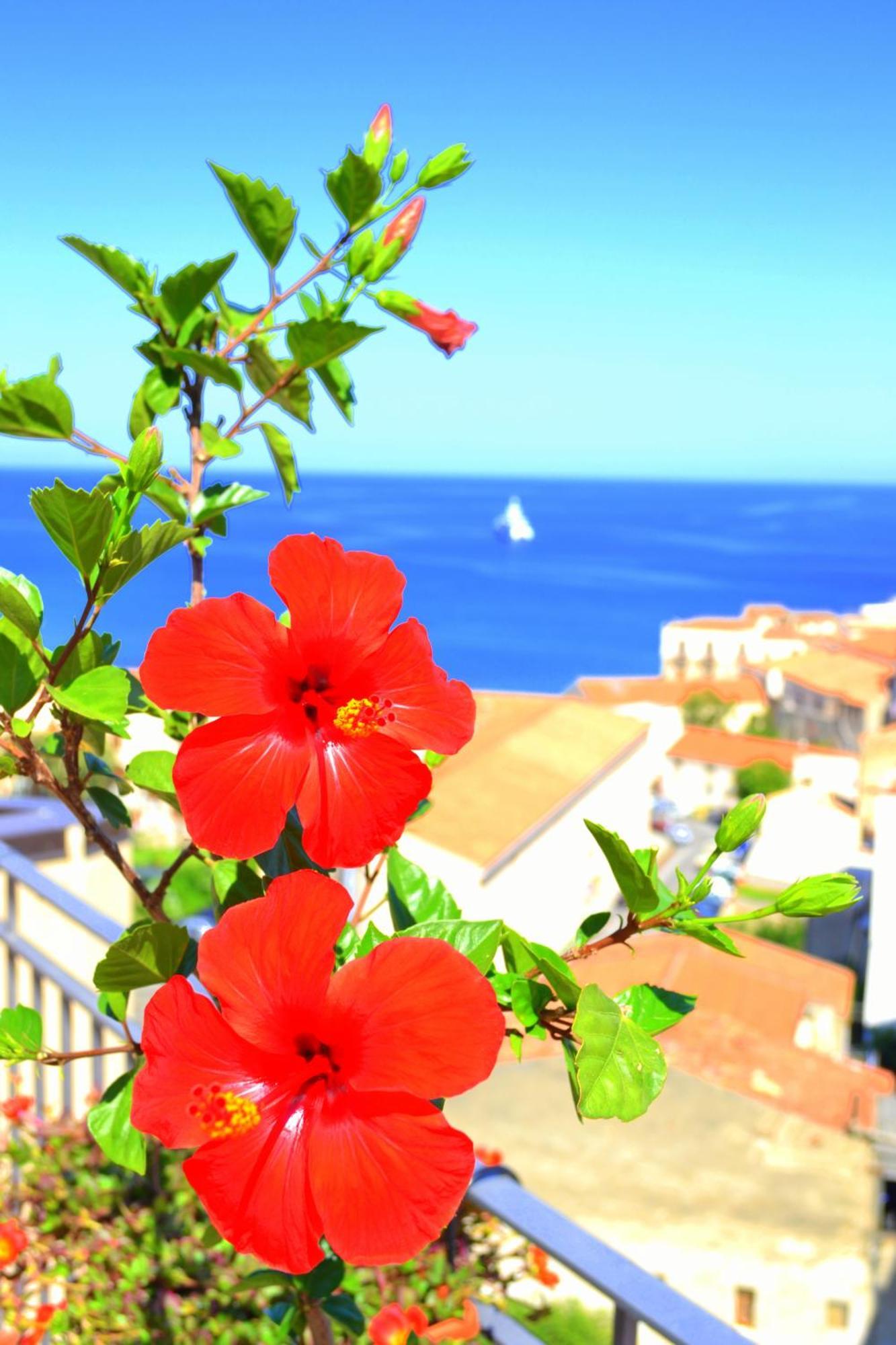 Scirocco Bed & Breakfast Cefalu Exterior photo